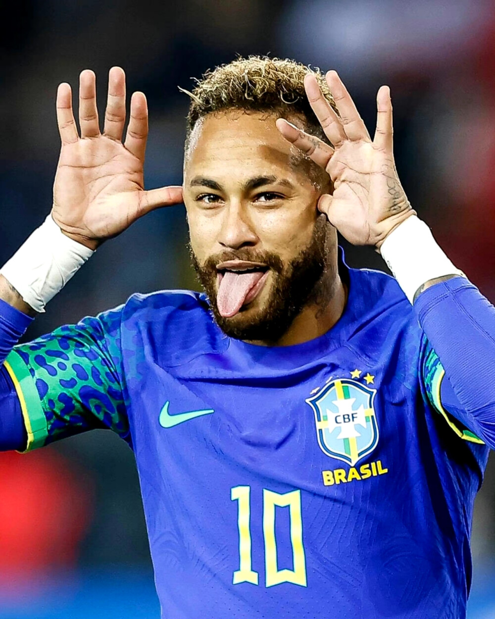 以获得高评 以获得高评