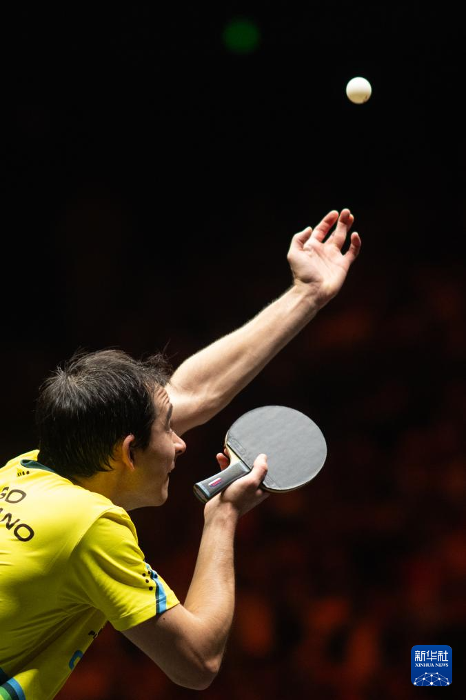 志愿者体系 志愿者体系